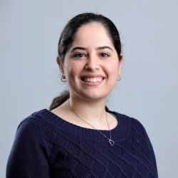 אורטל אלישייב